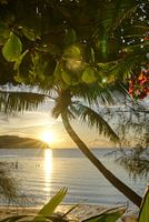 Sunset on an idyllic tropical beach (standing)