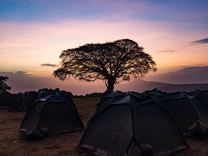Camping in the evening sun by Stijn Cleynhens