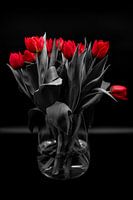 Black and red. Tulpen in een vaas.