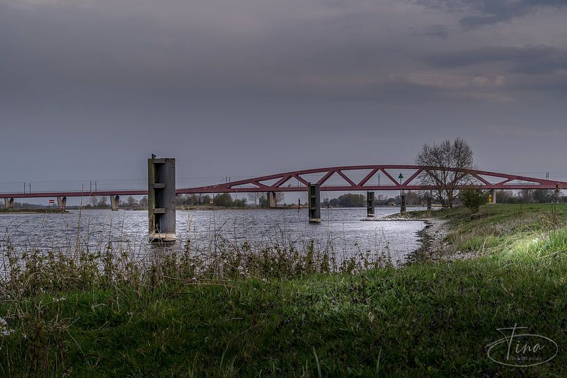 Im Scheinwerferlicht nach Zwolle von Tina Linssen
