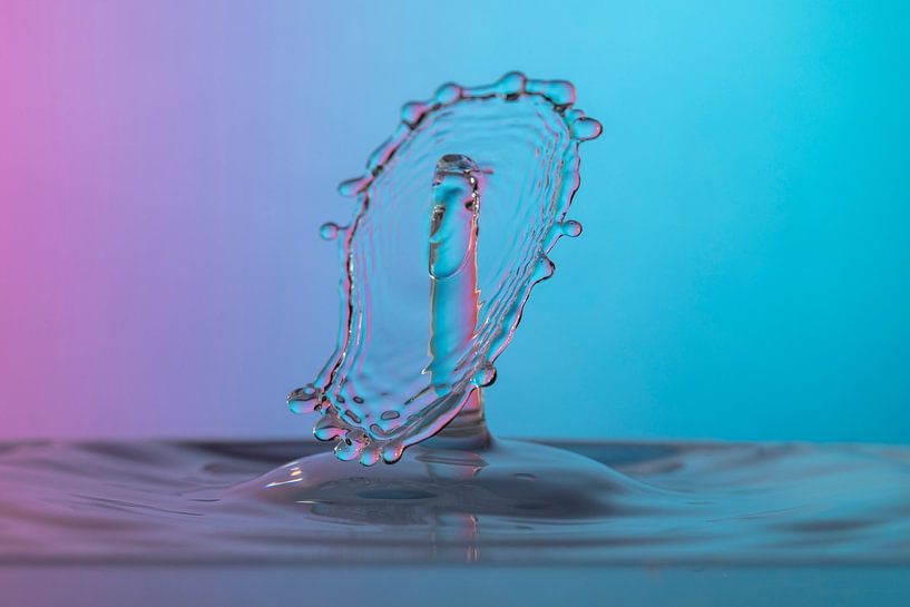 Splash par Tanja van Beuningen