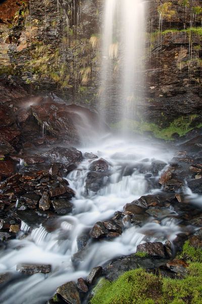 Tauwasser von Cornelis (Cees) Cornelissen