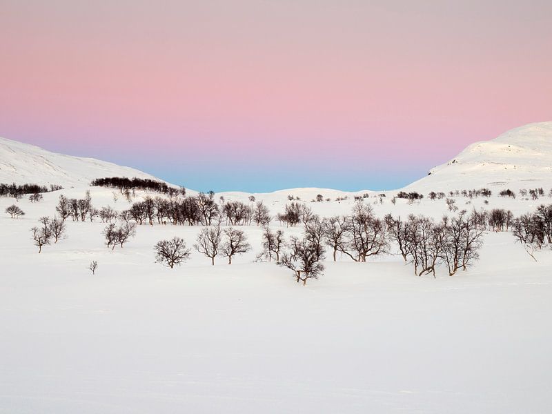 Kaltes Licht von David Hanlon