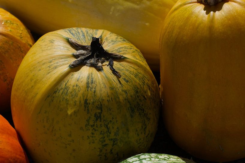 Kürbisse 2 von Hans Lok