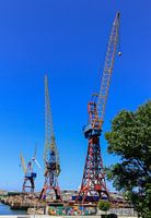 Kleurige kranen in Viana Do Castelo