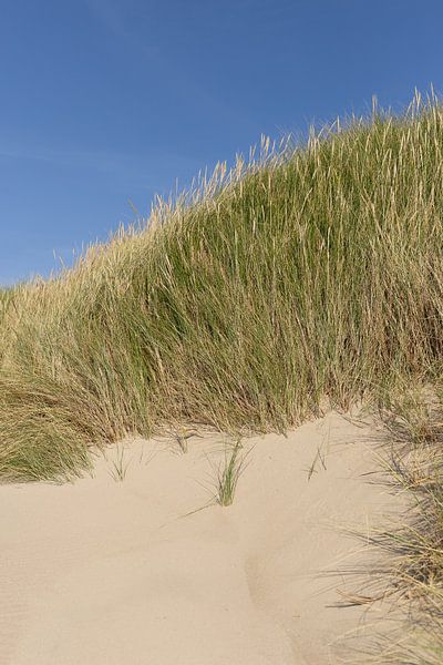 Three colours of coast by Natalia Balanina