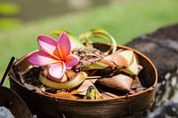Wicker sacrificial basket with pink flower in Bali, Indonesia