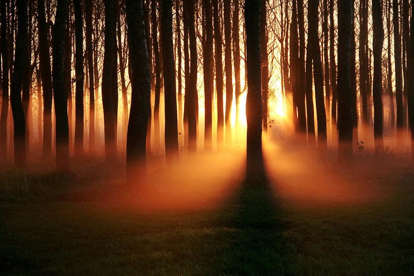 oh those mornings.... by Els Fonteine