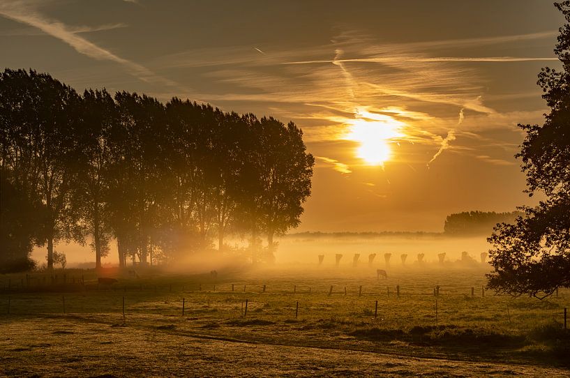 Sonnenaufgang über nebligen flämischen Feldern im Brügge-Ommeland von Mike Maes
