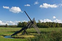 Tsjasker in 'De Weerribben'