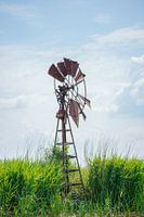 Weathered and timeless