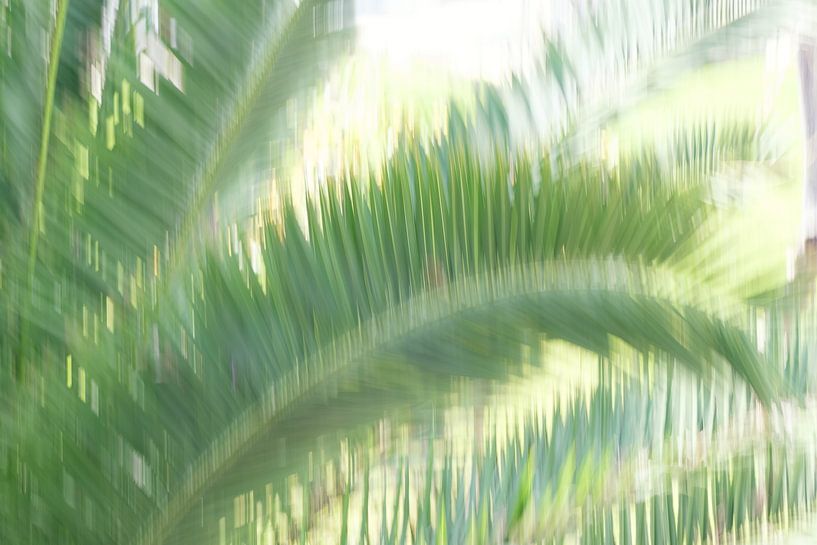 Schwankende Palmen von Truus Nijland