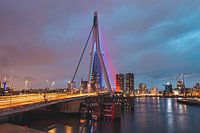 The Erasmus Bridge in Rotterdam