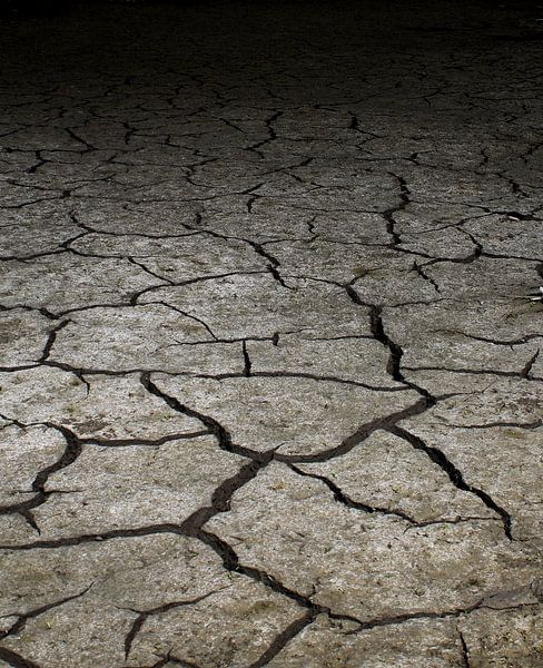 Dehydrierter Boden von Sanne van Gelder