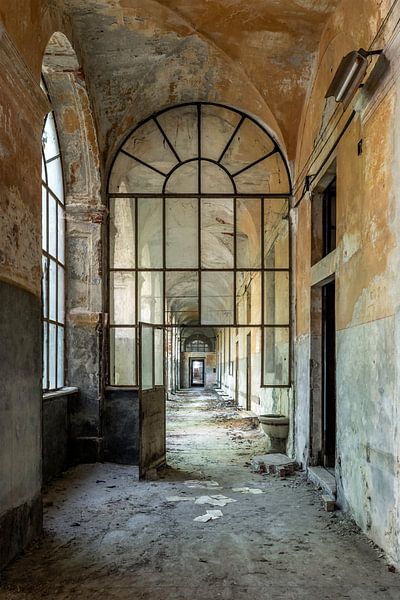 Manicomio Di R van William Linders