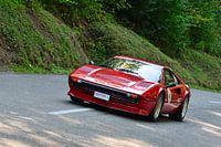 Ferrari 308 GTB Resina Eggberg Classic 2019