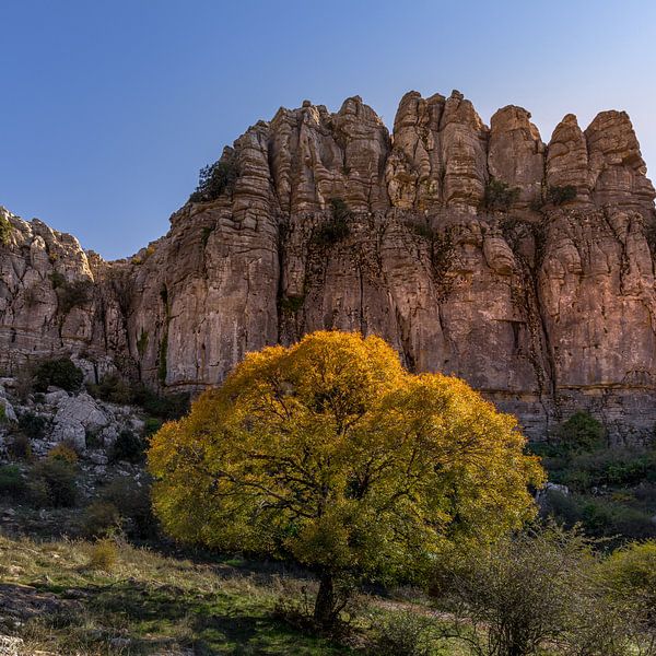 Torcal de Antequera, extraordinary rock formations, Spain. by Hennnie Keeris