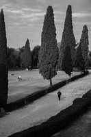 Les habitudes matinales à Villa Borghese