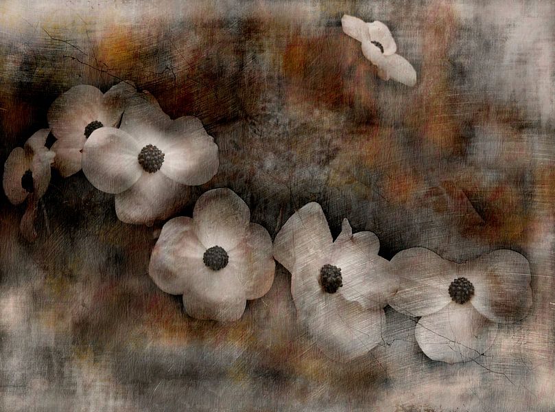 Melancholie der Blumen von Claudia Gründler