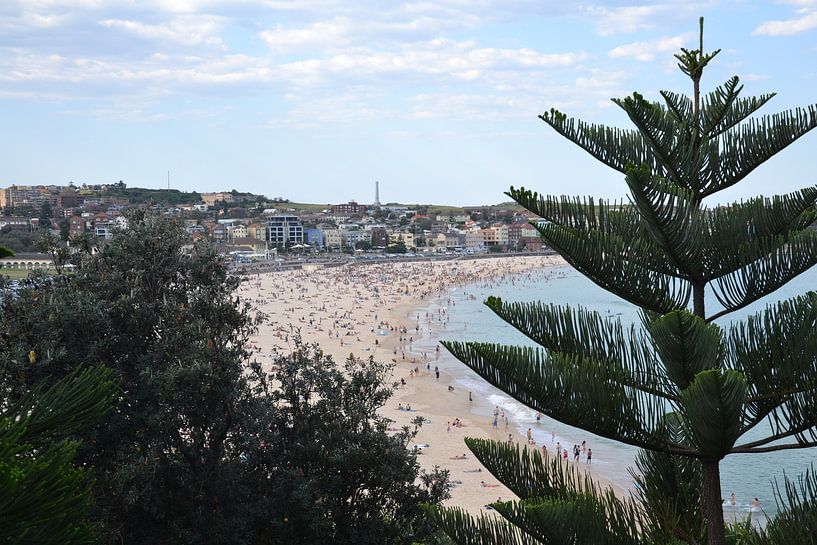 Bondi von Wessel Smit