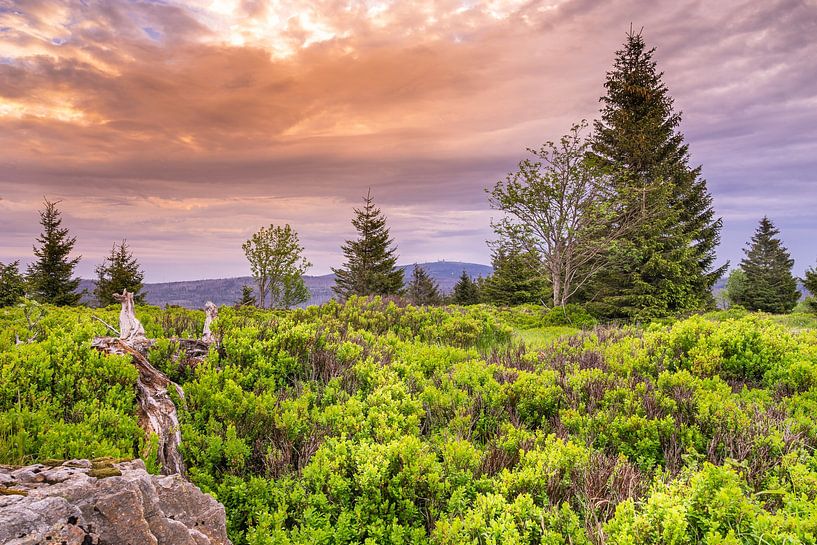 Blick zum Brocken vom Sonnenberg von Steffen Henze