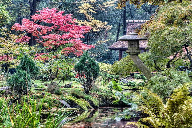 &quot;Alle wonderen die je zoekt vind je in je zelf &quot;   by Hans Brinkel