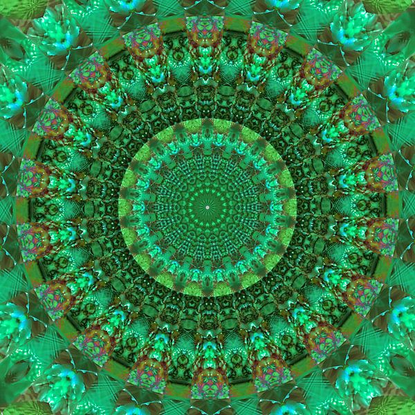 Die Energie des Frühlings von christine b-b müller