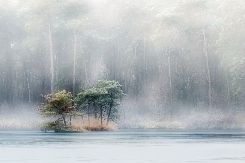 Fagnes et bois d'Oisterwijk par Betere Landschapsfoto