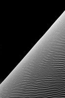 Dune à Hiddenvlei (Namibie)