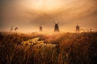 Une matinée passionnante