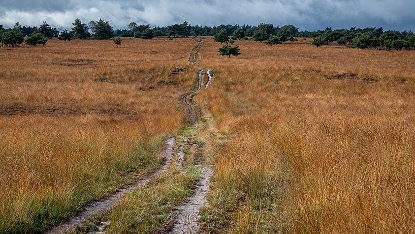 Bedrohlicher Himmel über dem Veluwezoom. von Koos SOHNS   (KoSoZu-Photography)