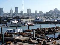 Pier 39, San Francisco, California, USA