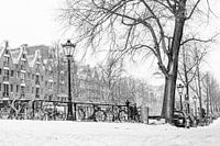 Winter in Amsterdam