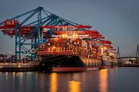 Containerhafen Hamburg