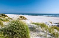 Mer du Nord - Paysage de dunes 