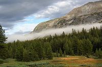 Yosomite-Nationalpark