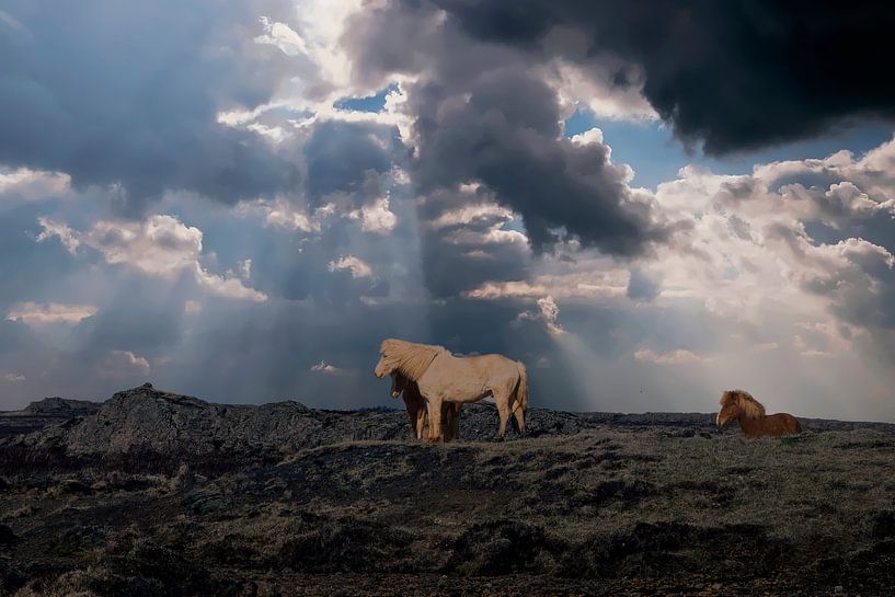 Islande par Gert Hilbink