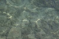 Onderwater- what do you sea?