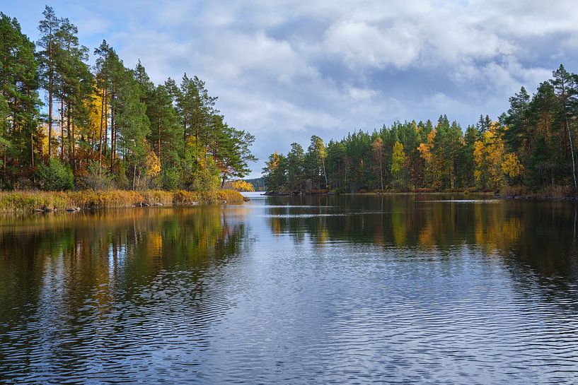 Autumn in Sweden 5 by Geertjan Plooijer