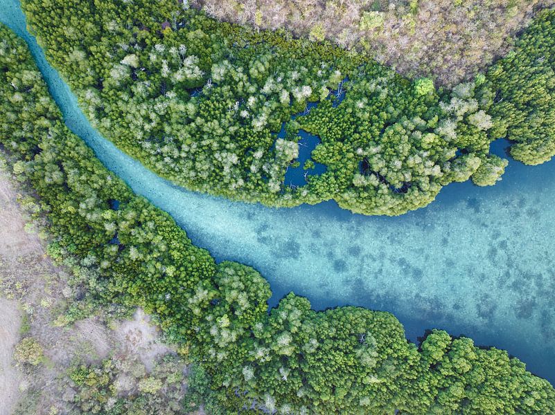 Die Lunge der Erde von Wahid Fayumzadah