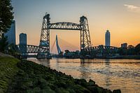 Coucher de soleil sur les ponts de Rotterdam