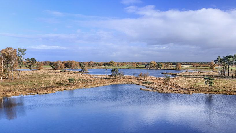 Panorama-Blick auf ein Feuchtgebiet gegen einen blauen Himmel bewölkt von Tony Vingerhoets