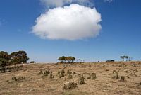 Een Wolkje boven Ethiopië