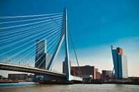 Erasmusbrug ook wel de zwaan genoemd 