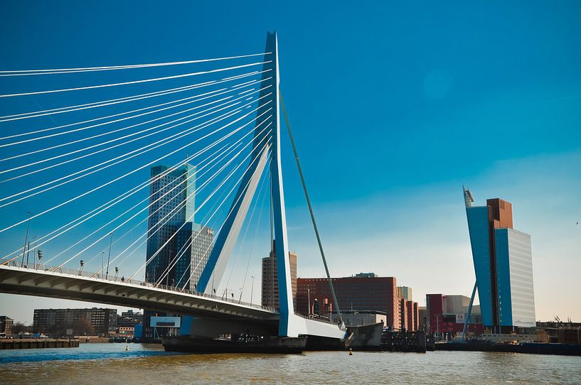 Erasmusbrug ook wel de zwaan genoemd  par Robbert Wilbrink