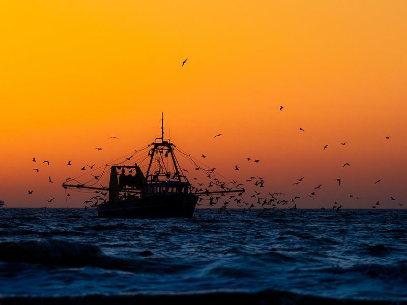 Prise tardive par Dirk van der Plas