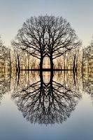 Transformation eines Baumes 2