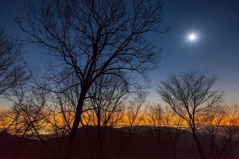 Before dawn von Tatsuya Atarashi