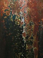 Autowrack mit Rost 4