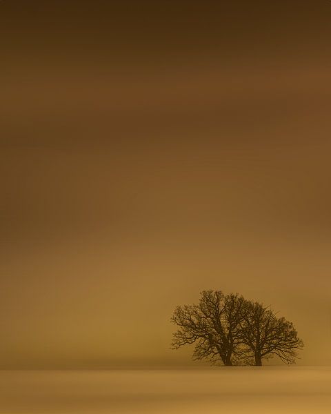 Journée d'hiver dorée. par Jonas Röjestål